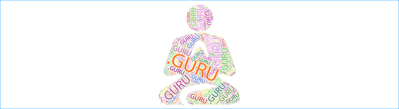 зона GURU